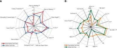Hyperspectral reflectance and agro-physiological traits for field identification of salt-tolerant wheat genotypes using the genotype by yield*trait biplot technique